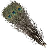 Natural Peacock Feathers 16-18Inch for Home Decor Flower Arrangement Centerpieces Vases Decorations Costumes Hats Crafts Christmas Tree Ornament (10pcs - Upgrade)
