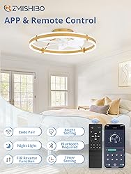 ZMISHIBO 24 Inch Ceiling Fans with Lights and