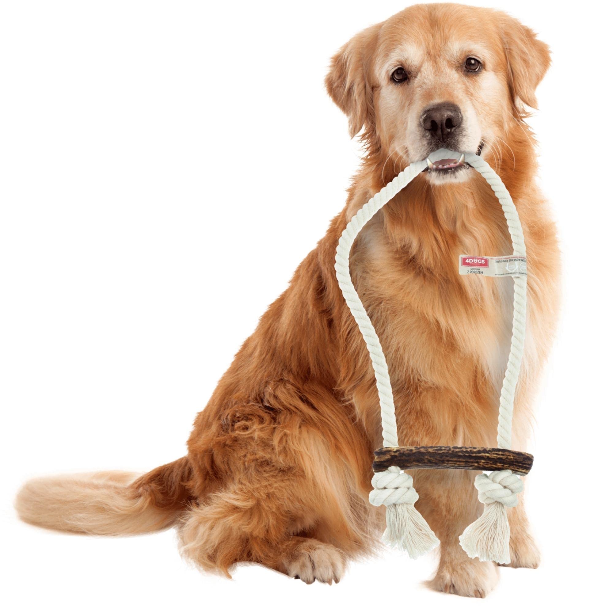 4DOGS Indestructible Dog Rope Toy for Dog Teeth Cleaning Combined with Natural Dog Chew Antler, This is 100% Natural Gluten Free, GMO Free Dog Toys - 1 Piece Hook Easily Chewable- XXL Plus