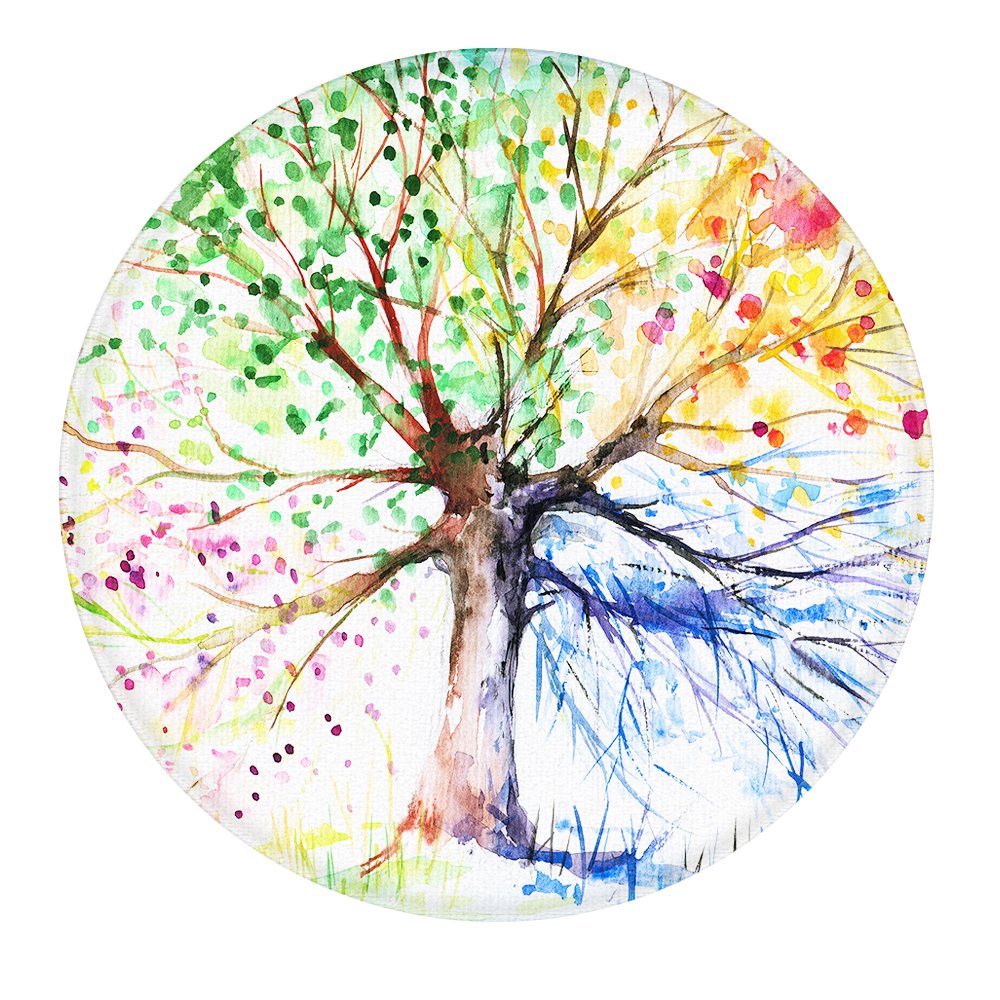 Best eco friendly carpet companies