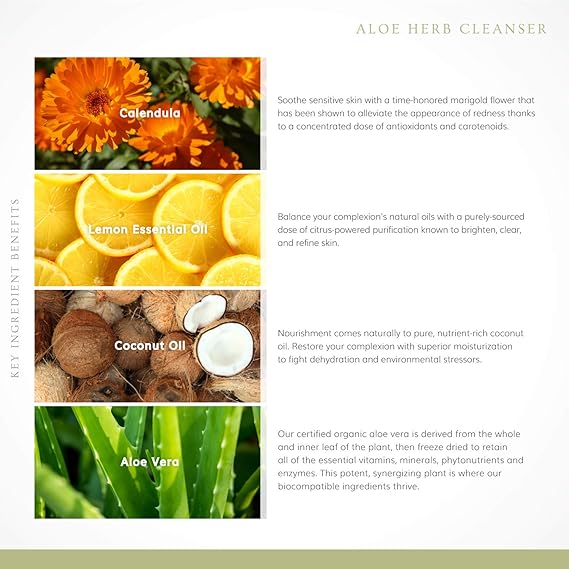 annmarie aloe herb cleanser