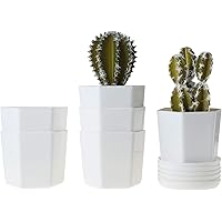 Amazon.es Los más vendidos: Los productos más populares en ...