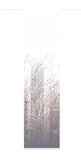 Home Fashion ROM Tenda a pannello, Poliestere, 245 x 60 cm