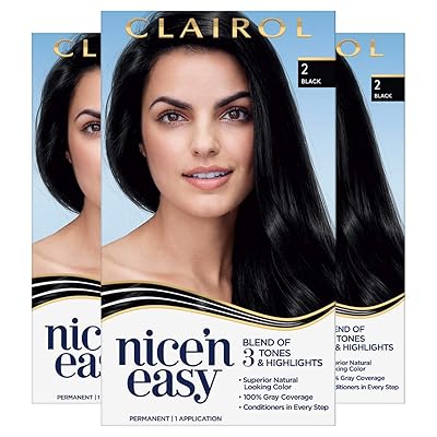 Buy Clairol Nice N Easy Permanent Hair Dye 2 Black Hair Color 3 Count Online In Indonesia B07byyp77q