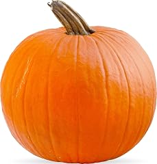 Organic Pumpkin Pie Squash