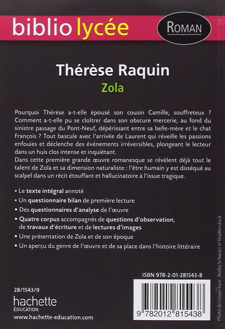 L Oeuvre De Zola Résumé Par Chapitre