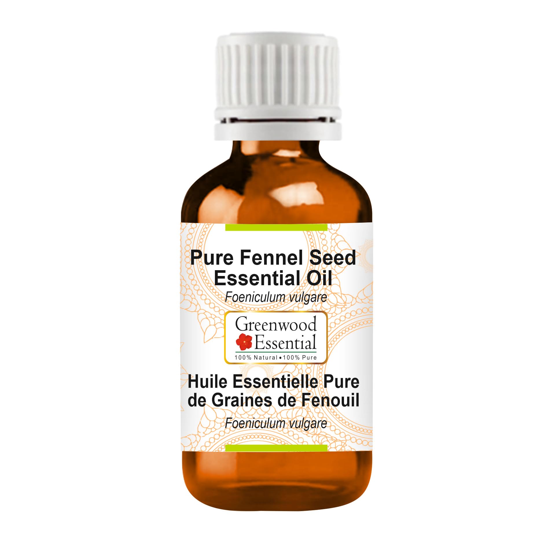 Greenwood Essential Pure Fennel Seed Essential Oil (Foeniculum vulgare) Steam Distilled Natural Therapeutic Grade 15ml (0.50 oz)