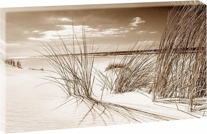 Querfarben Empire Interactive Poster Paysage Sable 1 Tableau Panoramique Au Format Xxl Poster Tableau Photographie Impression D Art Tendance Sur Toile Sepia 135 Cm X 80 Cm Amazon Fr Cuisine Maison