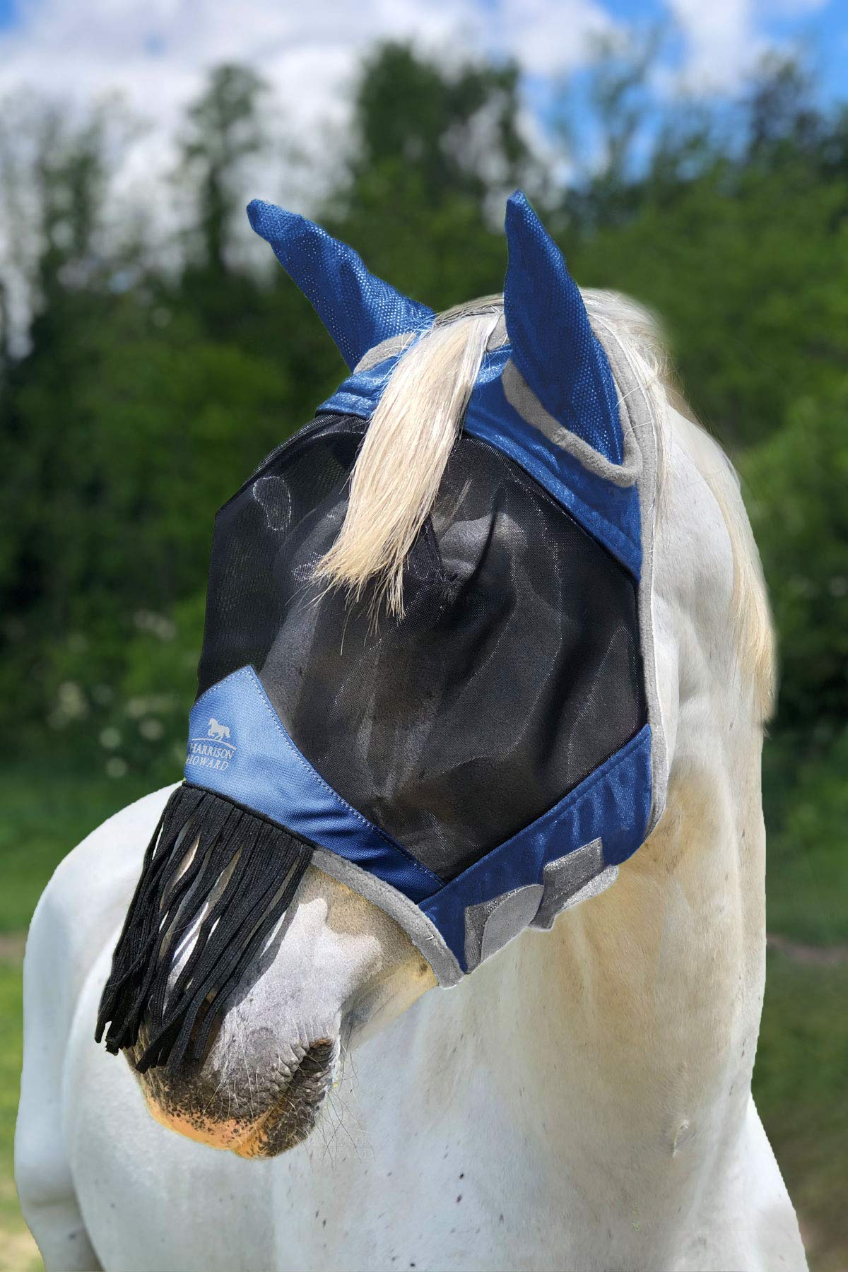 Harrison Howard CareMaster Horse Fly mask with Ears and Nose Fringe Aquamarine(S; Pony)