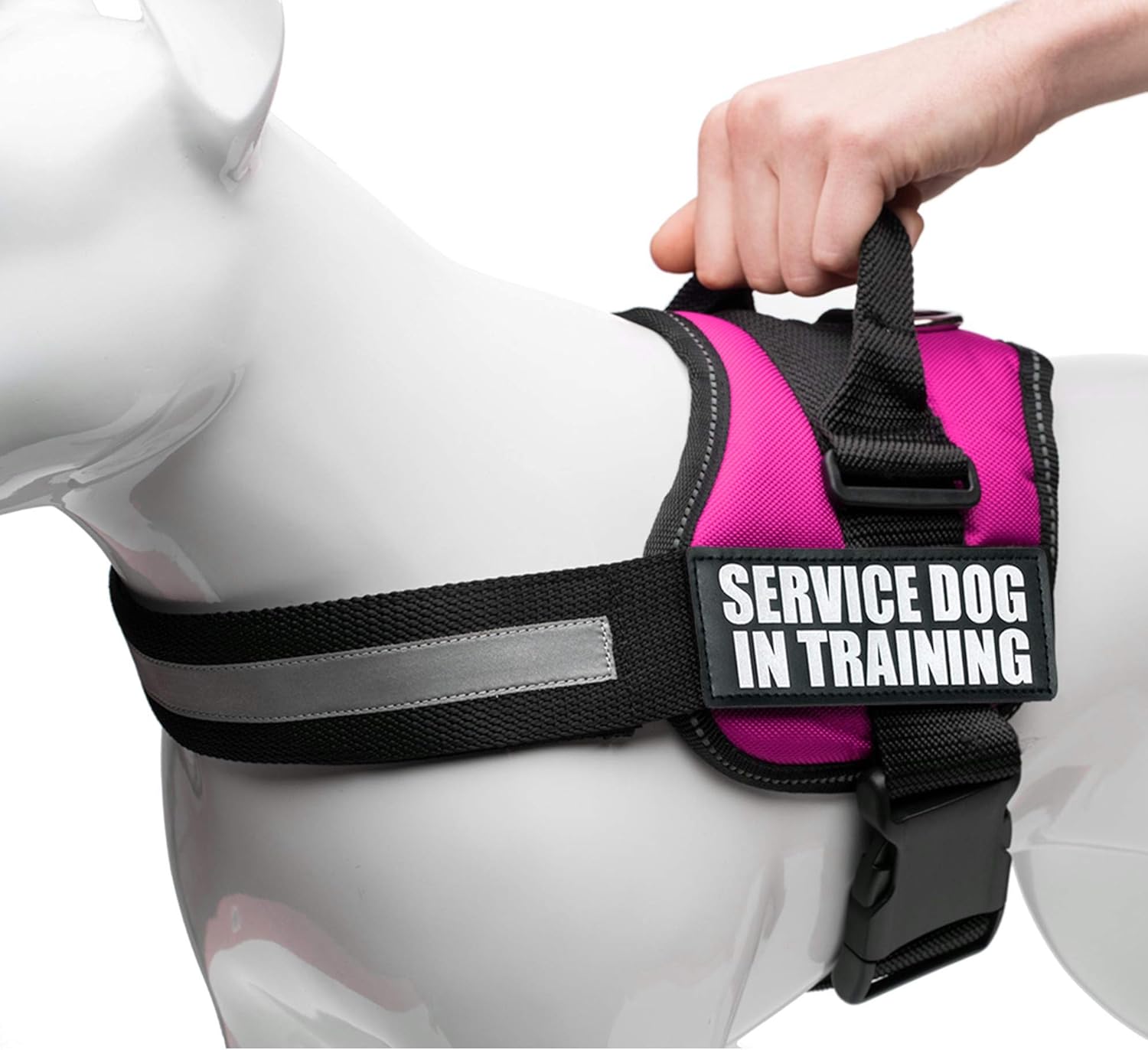 amazon service dog vest small