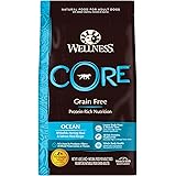 wellness core lamb dog food