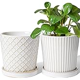 LE TAUCI Ceramic Pots for Plants, 5.4 Inch Plant Pots with Drainage Hole and Saucer, Indoor Plant Pots for Succulent, Snake Plants and Cactus, Flower Pots, Set of 2, Reactive Glaze White