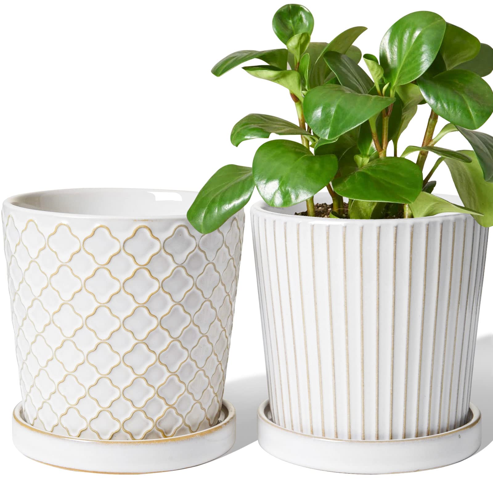 Photo 1 of LE TAUCI Ceramic Pots for Plants, 5.4 Inch Plant Pots with Drainage Hole and Saucer, Indoor Plant Pots for Succulent, Snake Plants and Cactus, Flower Pots, Set of 2, Reactive Glaze White
