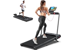 WELLFIT Treadmill with 12% Auto Incline & 10MPH - Commercial 4HP Brushless Quiet, Walking Pad Treadmill for Home, Heavy Duty 420lbs Capacity, Pulse Sensor, Bluetooth Player