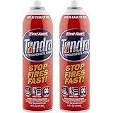 First Alert Fire Extinguisher | Tundra Fire Extinguishing Aerosol Spray, Pack of 2, AF400-2