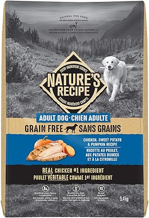 Nature S Recipe Adult Grain Free Chicken Sweet Potato Pumpkin Recipe Dog Food 5 4kg Amazon Ca Pet Supplies