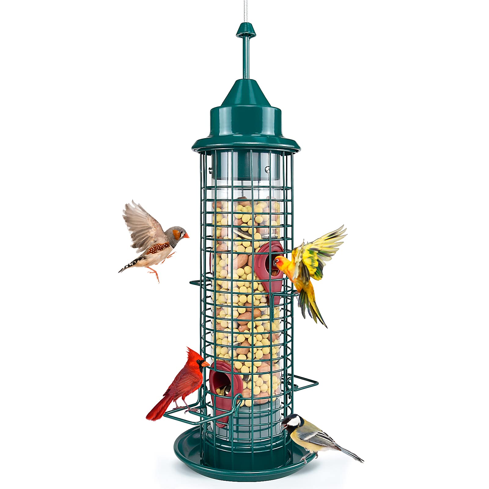 Blue_Bone Green Caged Tube Bird Feeder Hanging Premium Squirrel Proof Wild Bird Feeder All Metal Cage Polycarbonate Feed Tube with 4 Feeding Ports for Outdoor Small Bird Wild Shelter