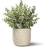 Hopewood Faux Plants, Fake Plants Eucalyptus Potted for Home Office Desk, Artificial Eucalyptus with a Weave Basket for Indoor Greenery Tabletop