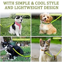 DOYOO 2 Pack Puppy Dog Leash Cat Leash, Strong and
