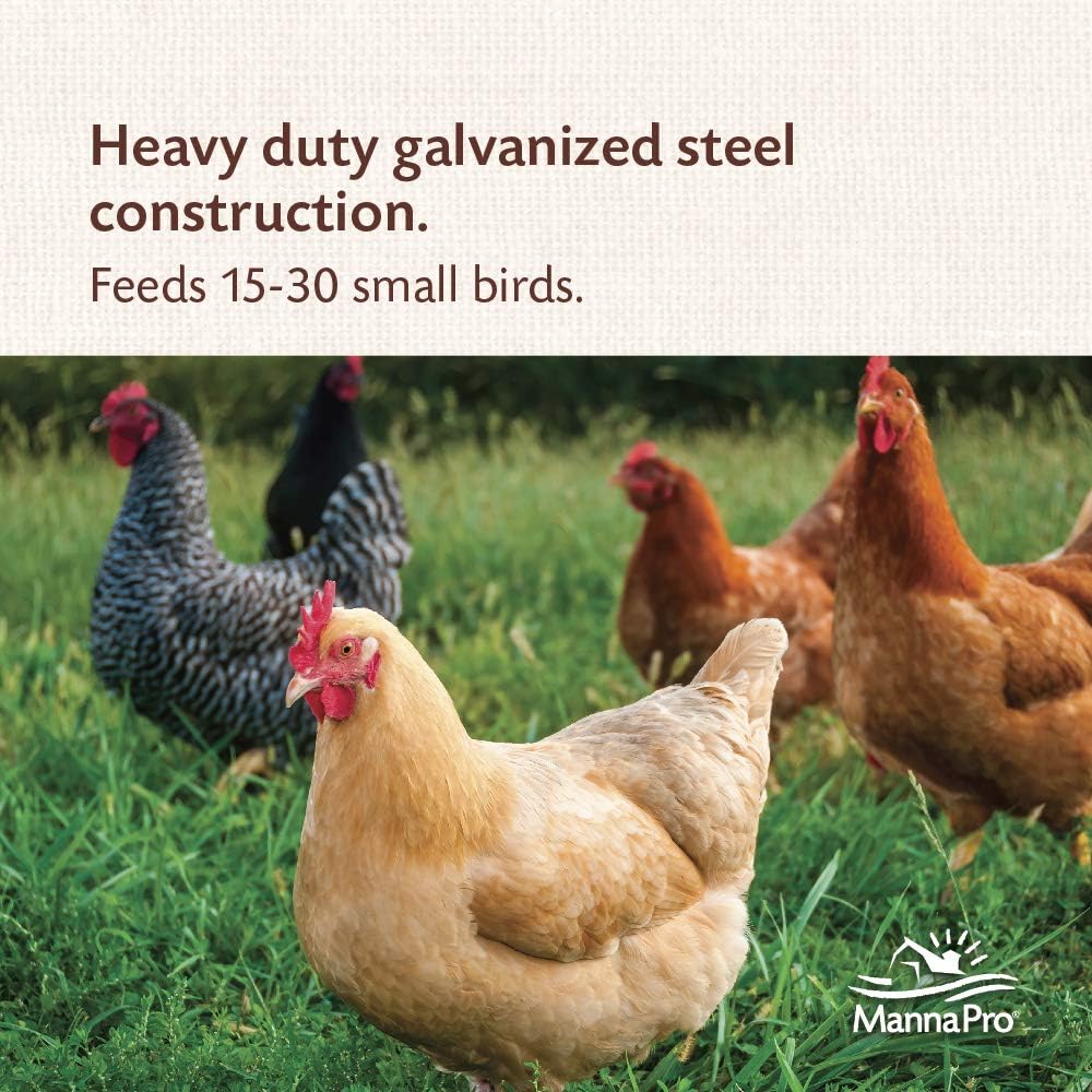 Harris Farms 1000293 Galvanized Hanging Poultry Feeder, 15 lbs, Metal : Chicken Feeders And Waterers : Garden & Outdoor
