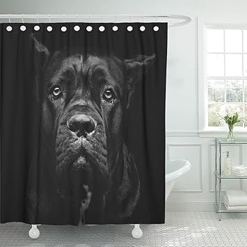 Emvency Shower Curtain Closeup Portrait Of Beautiful Black Cane Corso Female Dog Waterproof Polyester Fabric 60 X 72 Inches Set With Hooks