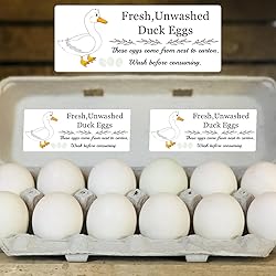 Unwashed Chicken Quail Duck Egg Carton Stickers 1