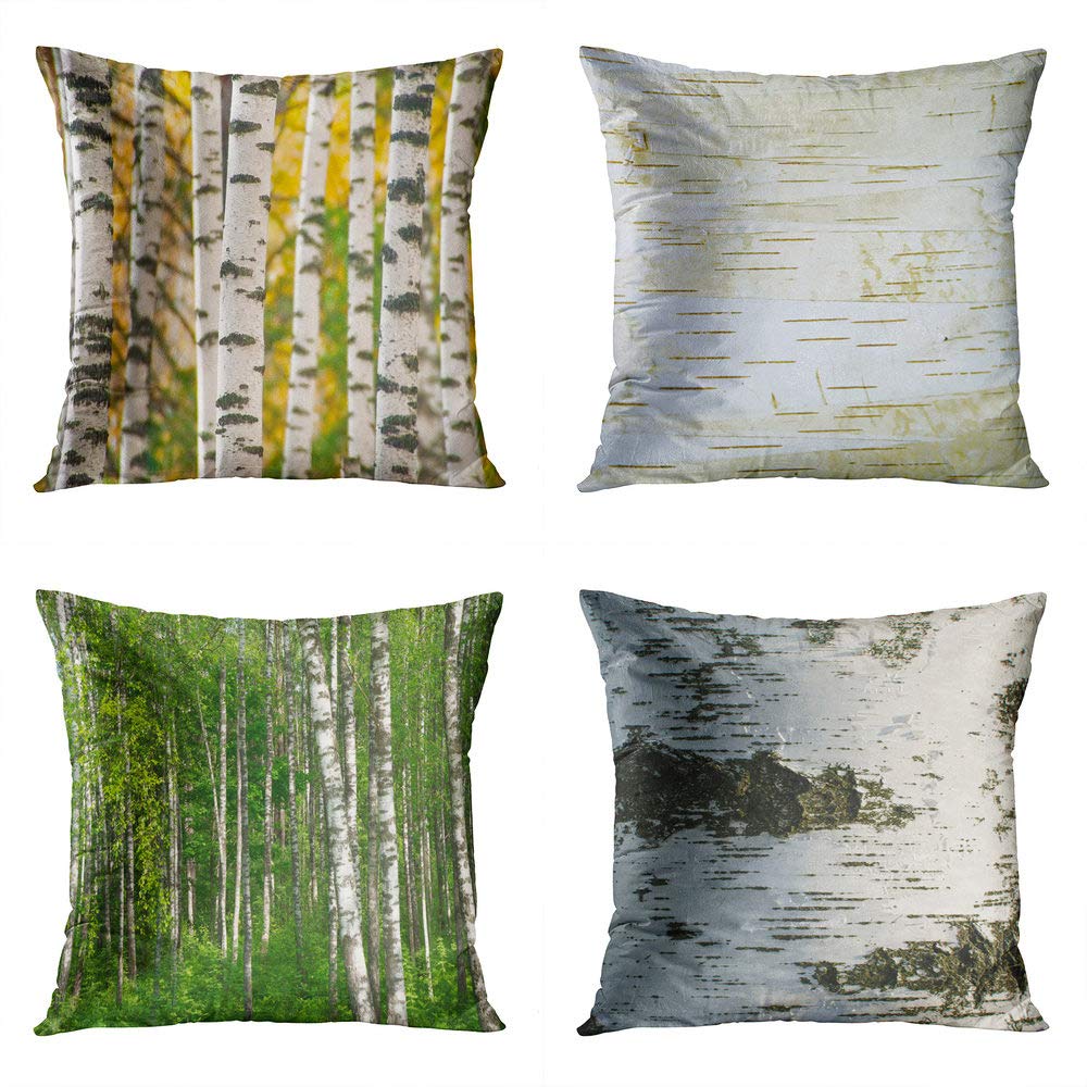 Best Birchwood Cat Bedding