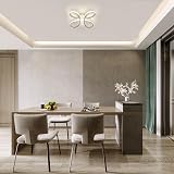 Comely ModernLED Ceiling Light 30W 3375LM 4500K Silver 30cm Flower view 7