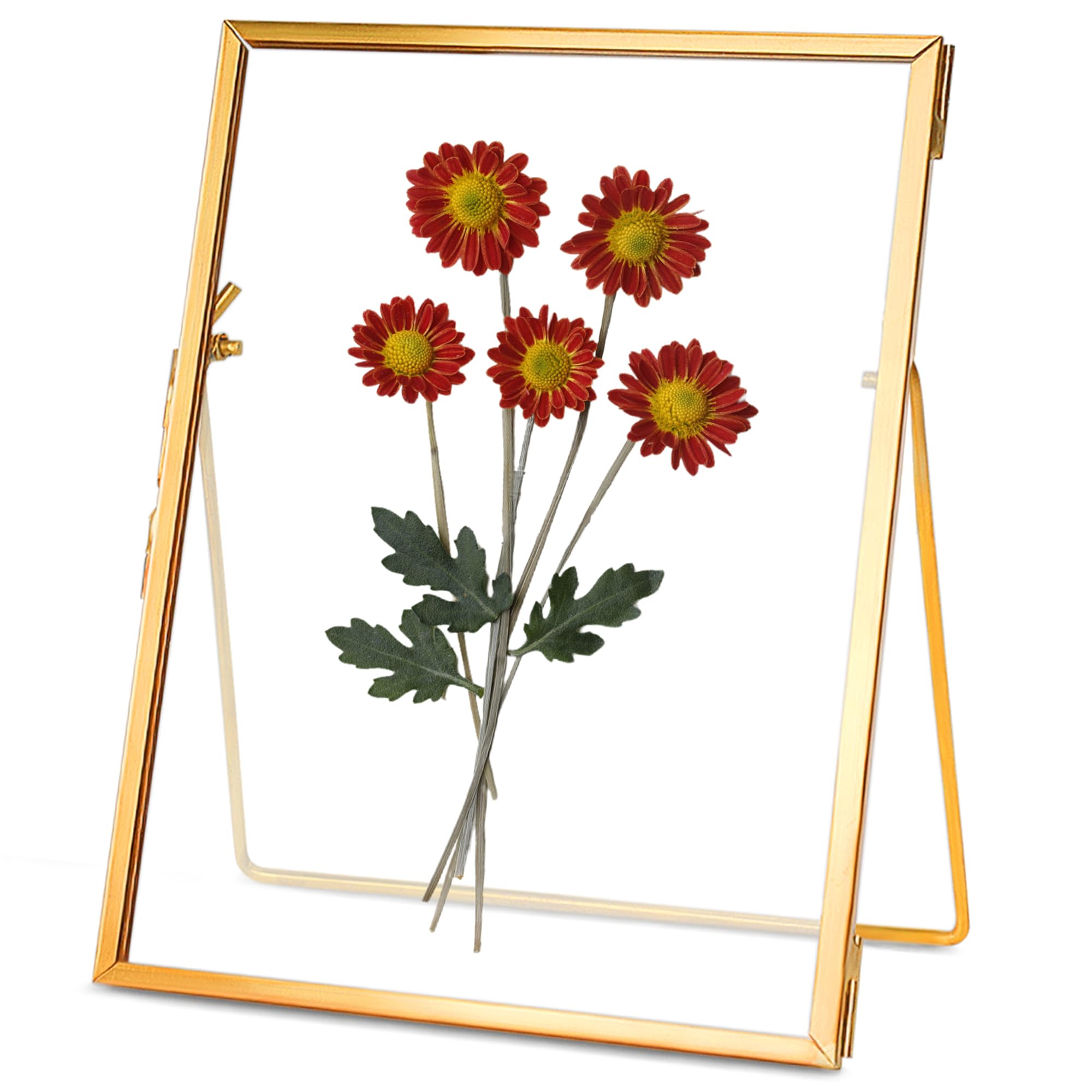 Photo 1 of REDHUGO Glass Pressed Flower Frame Handmade, Floating Picture Frames for Pressed Flowers, Tabletop Artwork Photo Frames, Brass Desk Picture Frame for Home Office Plant Specimen, Gold, 5x7 Inches