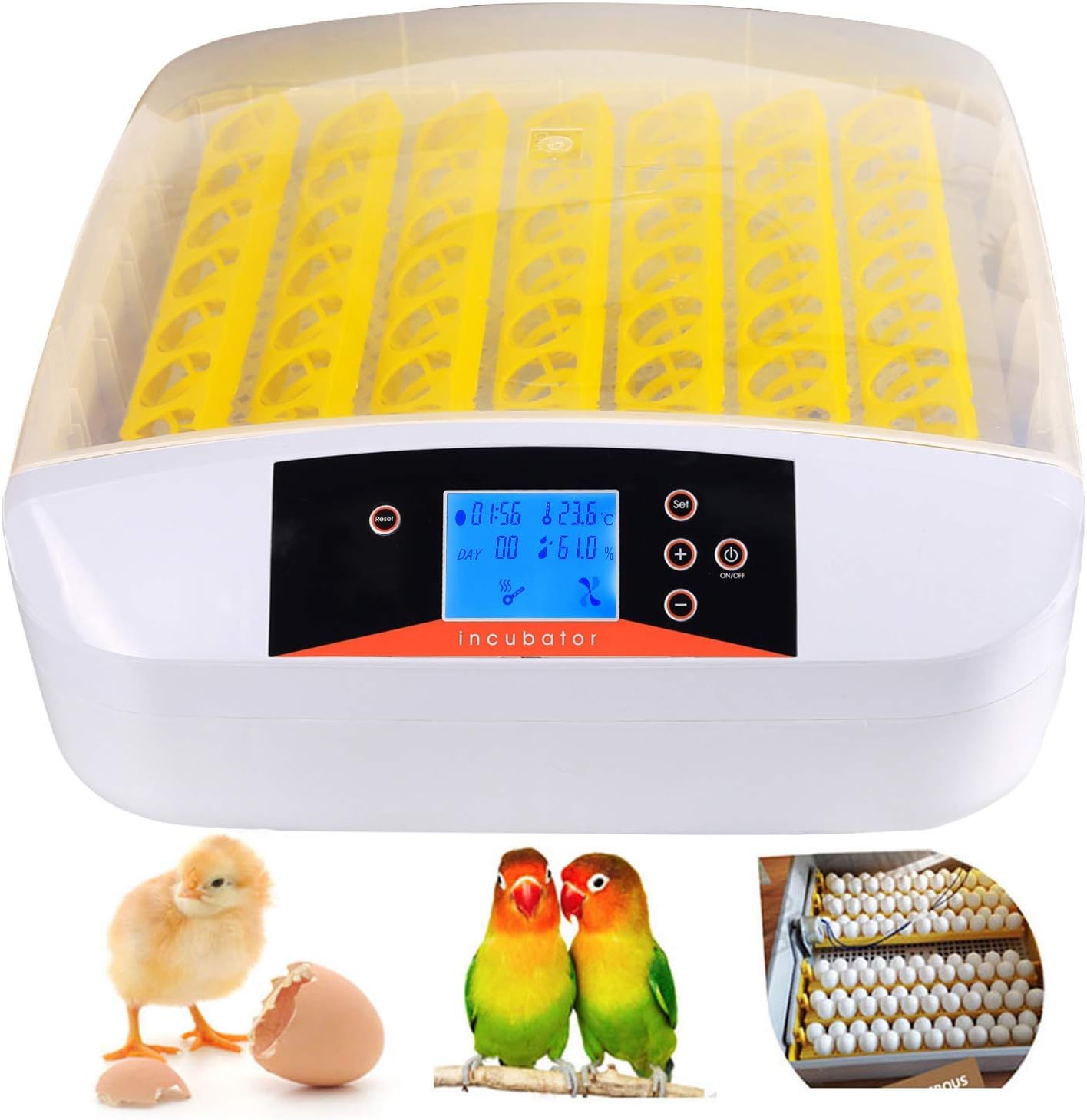 Temperature ng egg incubator