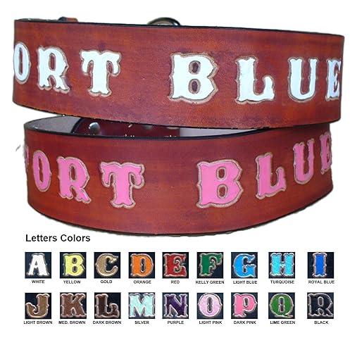2 inch wide personalized dog collars