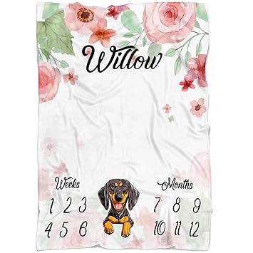 dachshund baby blanket