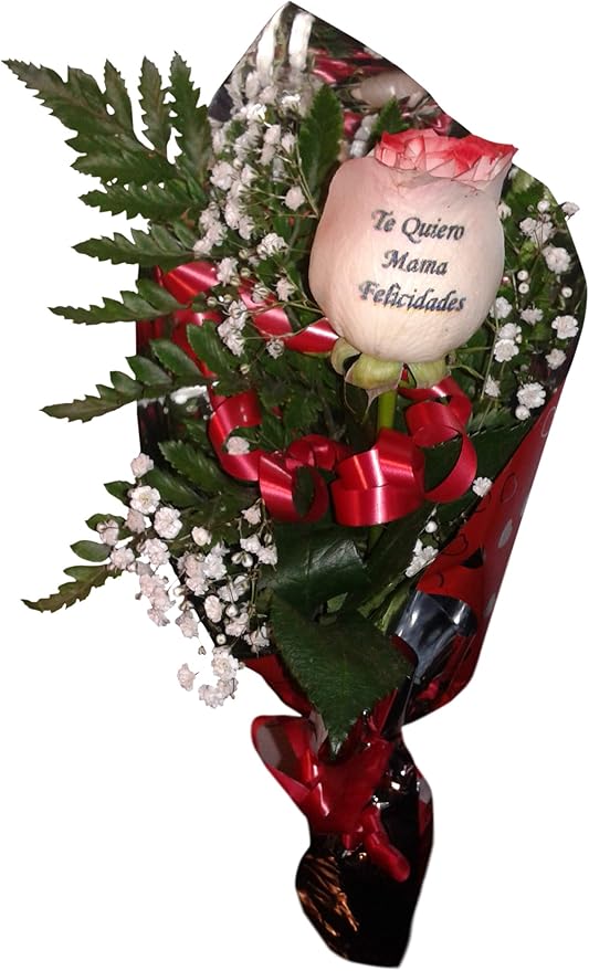 amazon regalo dia de la madre