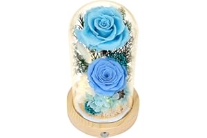 REGALO FLOR Flowers, Roses, Gifts–Flowers Bouquet & Forever Flowers for Delivery Prime - Preserved Flowers Birthday Gift for Women, Valentine's, Mother's Day, Christmas–Lasting Fresh Roses, Battery Included