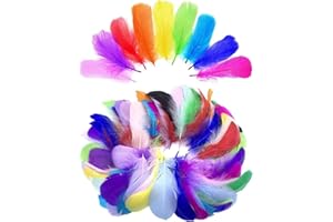 Lot de 1 000 plumes naturelles pour travaux manuels, loisirs créatifs, mariage, maison, fête - Couleurs assorties - Plumes na