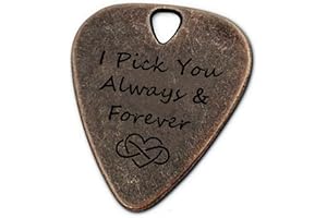 JUPPE Music Gifts For Him Her, Bronze I Pick You Always And Forever Guitar Pick Plectrum Anniversary Birthday Gifts For Boyfriend Husband Couples (Always and Forever)