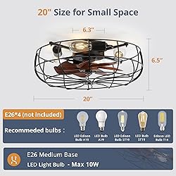 LEDIARY 20" Caged Ceiling Fans with Lights and