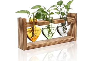 MTSIGNS Plant Terrarium Propagation Stations Hydroponics Home Garden Decoration Gift for Women with Wooden Stand Heart Shaped Colored Glass Vase