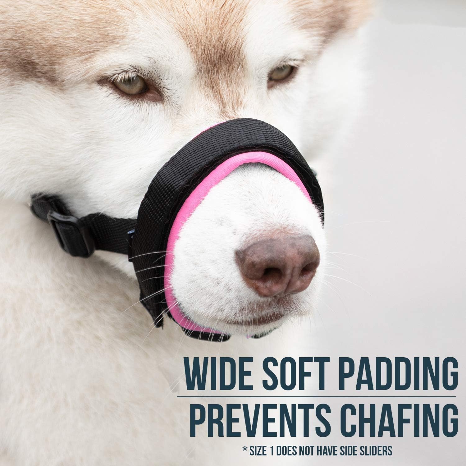 gentle muzzle guard dogs