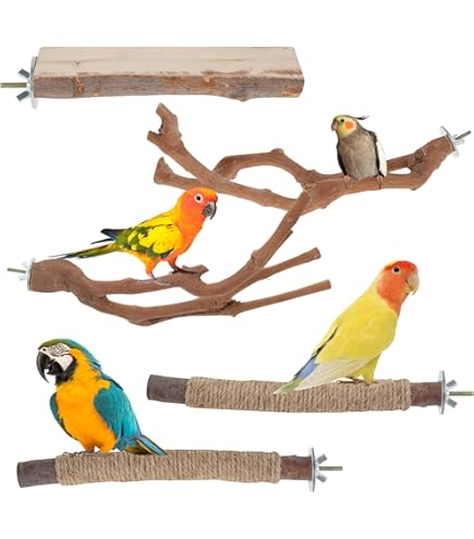 Hamac Debout Jouet à Mâcher Pour Oiseaux - Balançoire En Rotin Avec Perchoir Bois, Pour Calopsittes Et Perruches