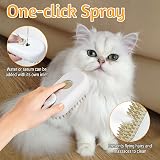71Nmly Cat Steam Brush 3 in1 Multifunctional Pet Grooming Kit view 2