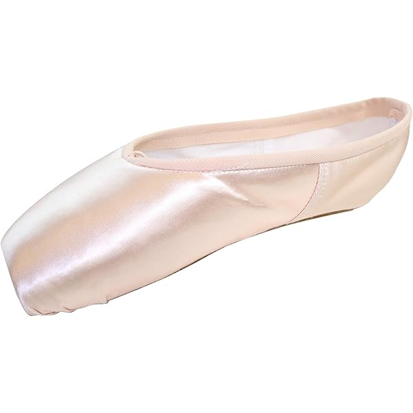 Grishko 2007 3×××s 2007 Pointe Shoe | Grishko