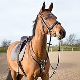 Horze Adjustable 3-Point Breastplate - Black - Horse
