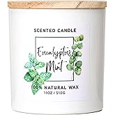 Eucalyptus & Mint Scented Candle,White Candles for Home Scented,Aromatherapy Candle,Stress Relief Candle,Christmas Gift for Women Men,Natural Soy Wax Candle,11oz