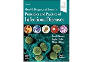 kindle best category lists