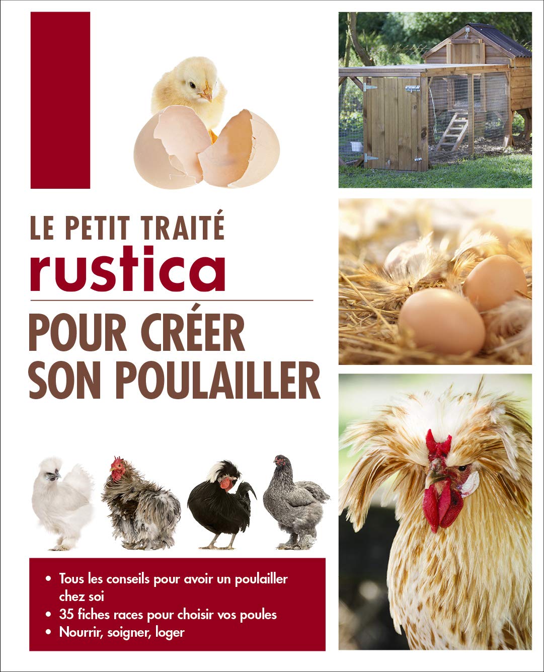 Amazon Fr Le Petit Traite Rustica Pour Creer Son Poulailler Periquet Jean Claude Ricca Herve Livres