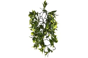 Exo Terra Jungle Plant - Mandarin - Medium
