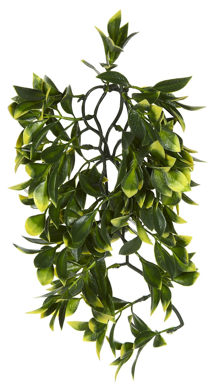 Exo Terra Plastic Mandarin Plant, Medium