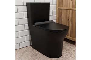 GIVINGTREE Dual Flush Elongated Standard One Piece Toilet with Comfortable Seat Height, Powerful & Quiet Dual Flush Modern Toilet, 12'' Rough-In, Matte Black，6618