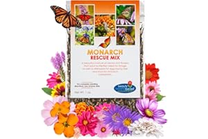 BEAUTY BEYOND BELIEF Monarch Butterfly Rescue Wildflower Seed Packet - 1oz, Open-Pollinated Wildflower, No Fillers, Annuals, Perennials and Milkweed Seeds for Monarch Butterfly 1oz